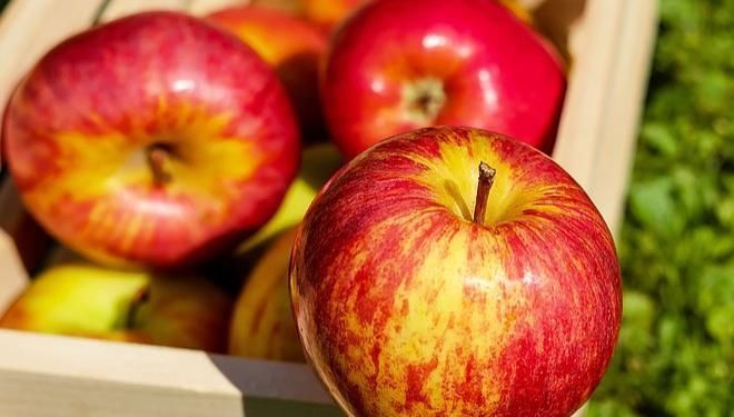 苹果|常吃苹果有益健康，但你知道什么时候吃才是最好吗？早知早受益