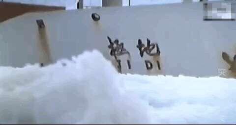 1988年,张国立在南极点燃炸药包,救南极科考团,荣获二等功