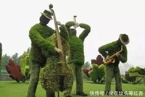 塑造|植物塑造出来的造型简直美炸了,你见过这样的植物吗?