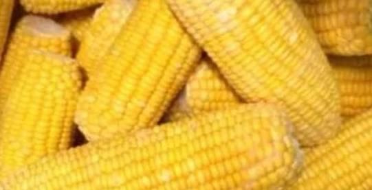 常吃玉米好处多，明目养肝，助消化，但也有一些禁忌，了解下