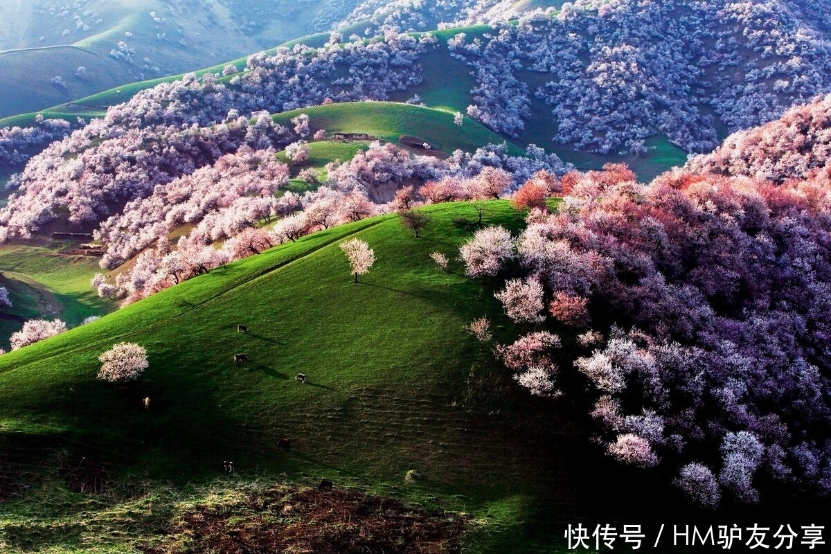 中年|春天最适合小住三五天的12个地方,错过这些美景,又要等一年