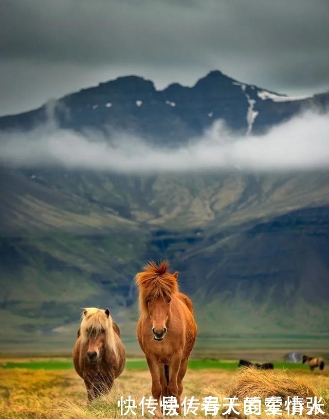 “世界上最孤独的地方”,我想去冰岛,不仅仅因为极光
