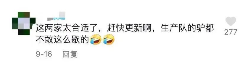 东北大爷大妈找对象，可比年轻人带劲多了