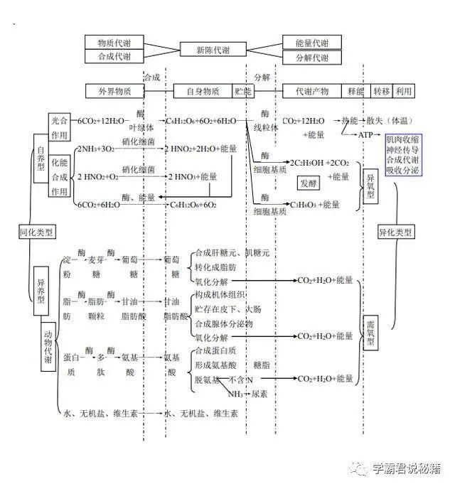 知识考点|高三考生请注意：这份学霸笔记，收藏一份，生物成绩不低于85+！