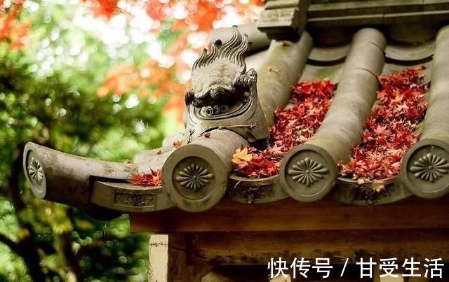 功绩#苏轼60岁的一首诗,短短24字总结一生经历,极富感染力,堪称奇绝