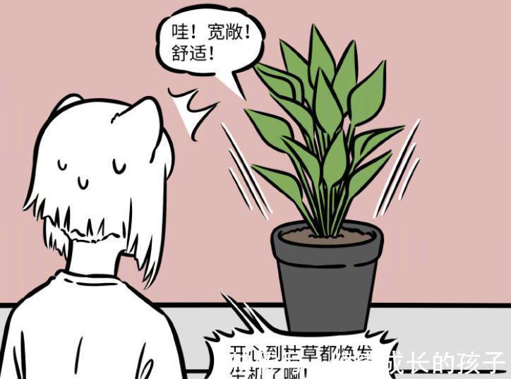 徐哼唧|非人哉:北京租房太贵,九月提供花盆,土地公有了新家