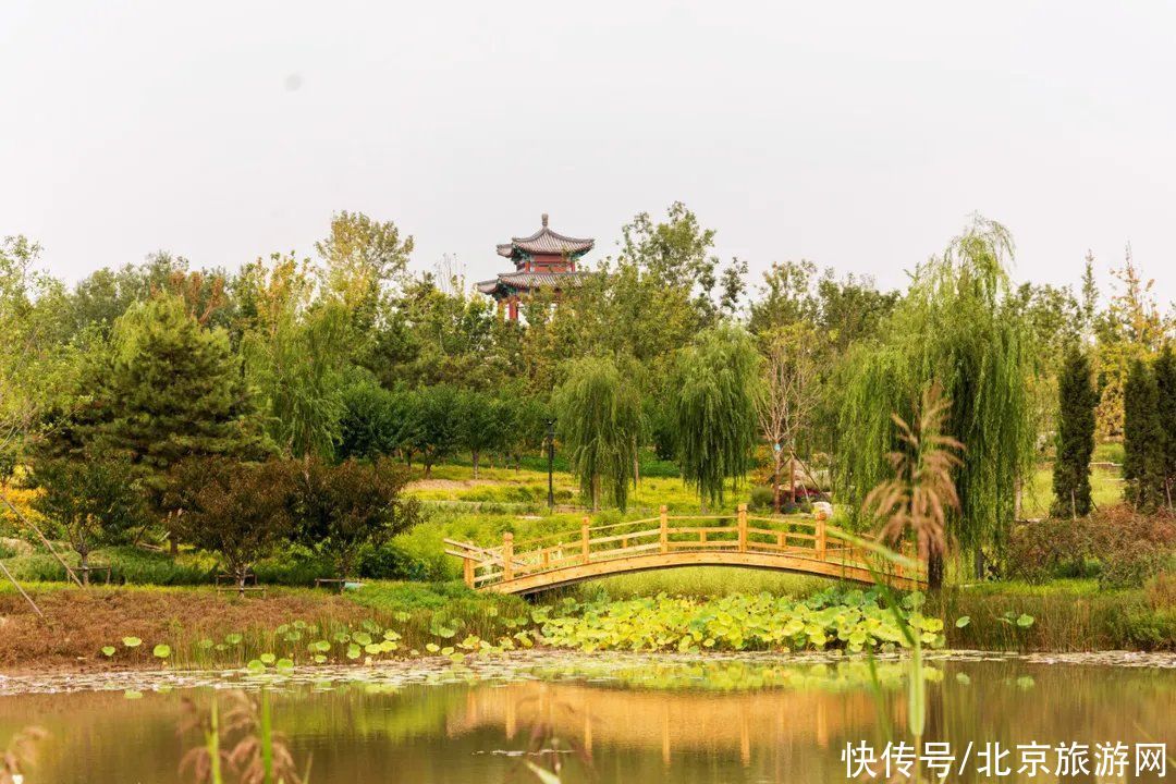 通州这条滨水线路，让您骑行游运河，把错过的所有风景都找回来！|游运河 | 艺术馆