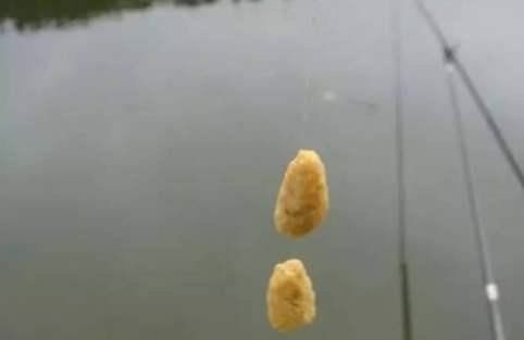 不能钓鱼的8个原因都很吸引人总是有一个适合你的