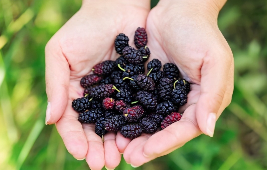 丑柑|女性到了中年,推荐3种食物,降压降脂,排毒抗衰,改善体质