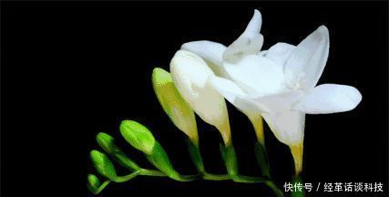 青山|青山几重,回眸一眼就心动,超美古风句子和小诗赠你,此生必读