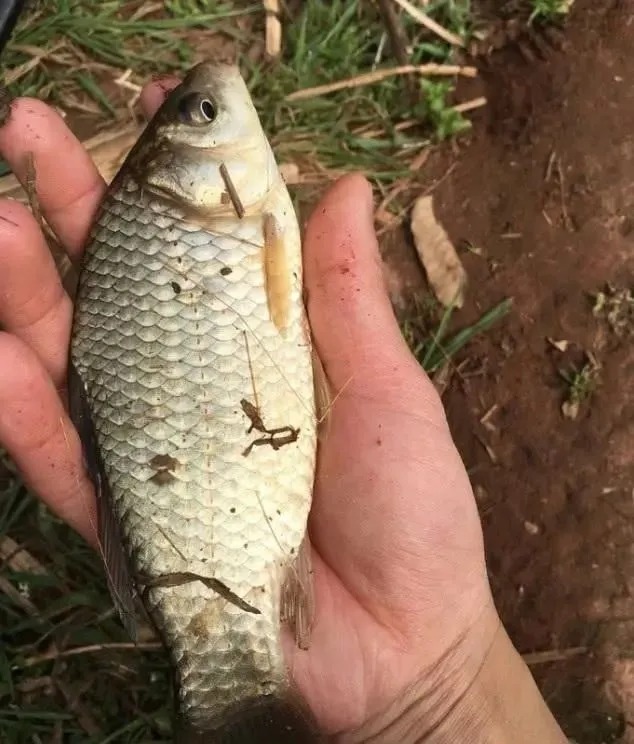 钓不到鱼是水里没鱼？这3个误区才是你十钓九空的关键，记牢了