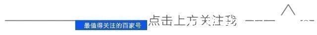 涂山苏苏|狐妖小红娘这部动漫没几个人能看懂,你看到的仅仅只是表面