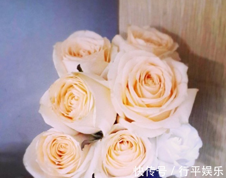 阳台养这1种花卉,一年四季都很勤劳地开花,和“玫瑰”一样美丽