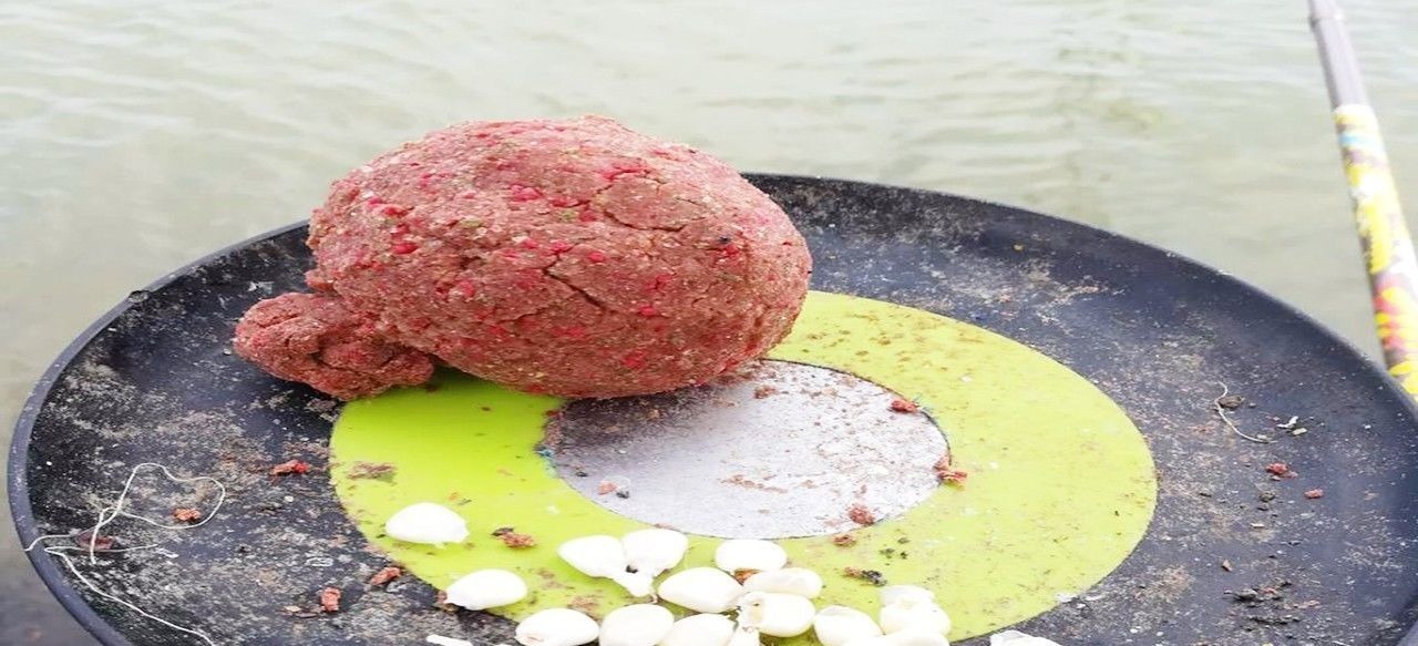 同样都是钓鱼,为何别人比你钓得多,秘密在这里