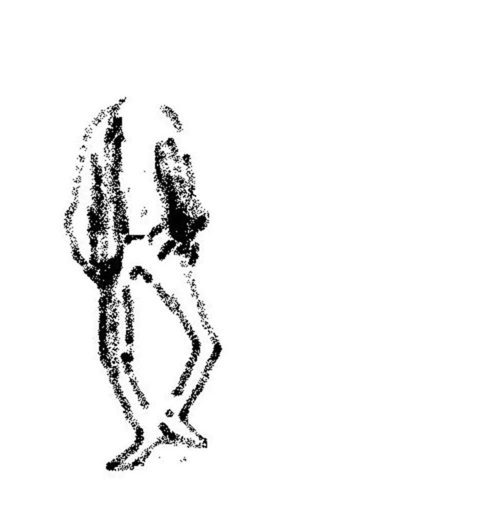  视觉|艺境徜徉——视觉记录