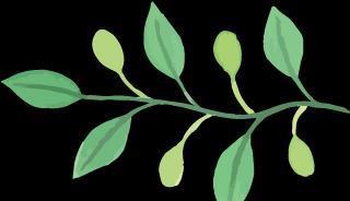 缓解|新训进行时丨暖心“家乡菜”,缓解思乡一步到“胃”