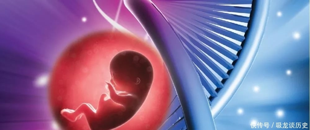 试管婴儿|试管婴儿反复失败问题到底出在哪?该继续还是坚持?