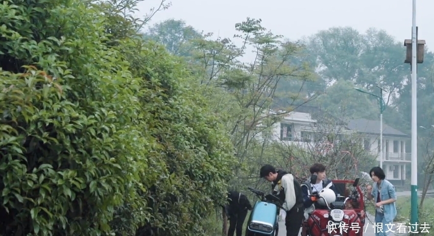 三轮车|张艺兴开三轮车险些伤到何炅，杨紫第一反应引热议：活该你红