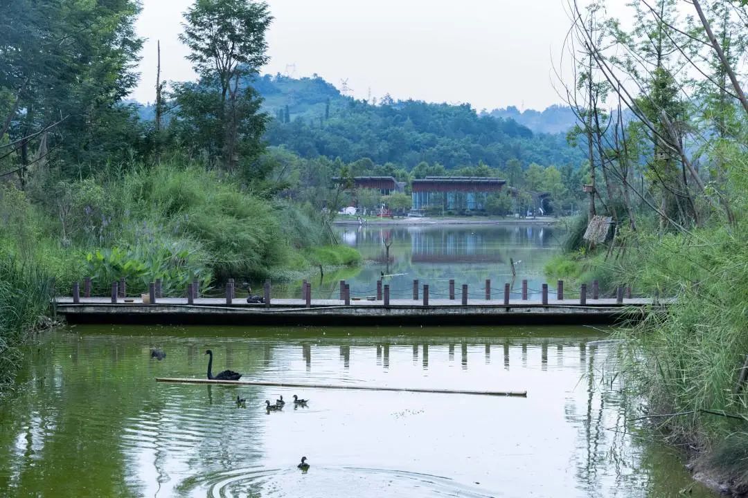 红军村|炎炎夏日何以消暑？天全这几个避暑胜地等你来打卡！