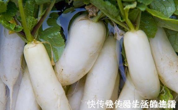 营养物质|白萝卜搭配此物一同煮,咳嗽消失了,感冒好了,全家老少都受益