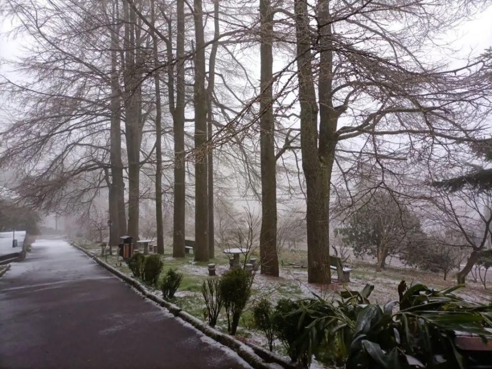 雪景|丽水这些地方下雪了，美炸了~最新雪景美图，请签收