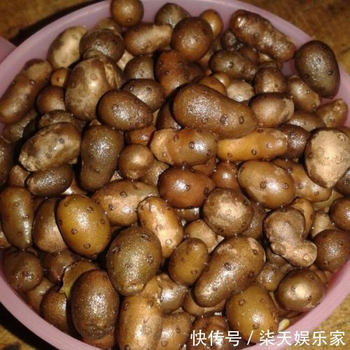 山药|天冷,最烦半夜上厕所,多吃这菜,一觉睡到天亮