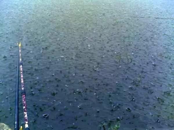 阴天|惊蛰过后、遇到这几种天气,请假也要去钓鱼,大鲫鱼排队咬钩