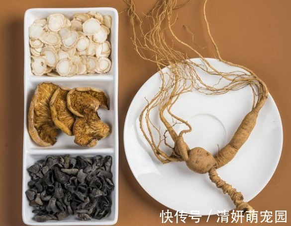人参健脾丸的特殊功效