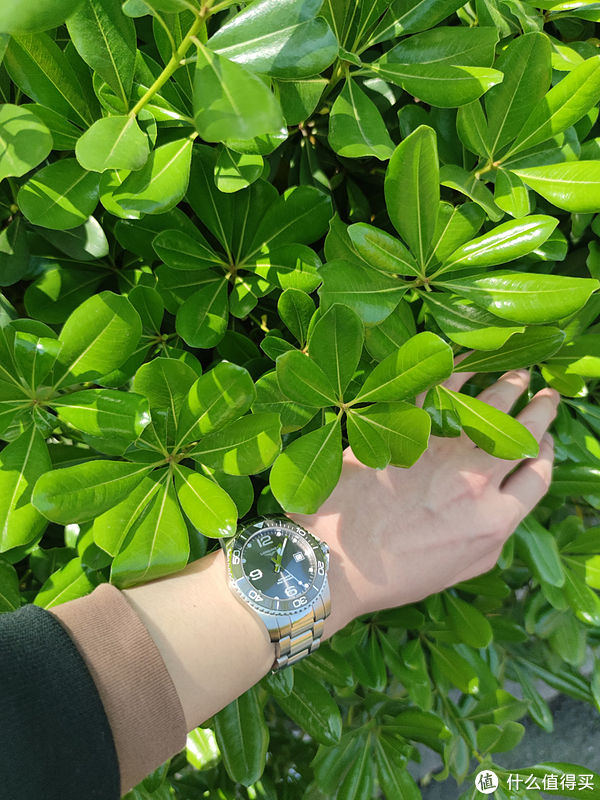 打工人的第一块机械表—浪琴康卡斯