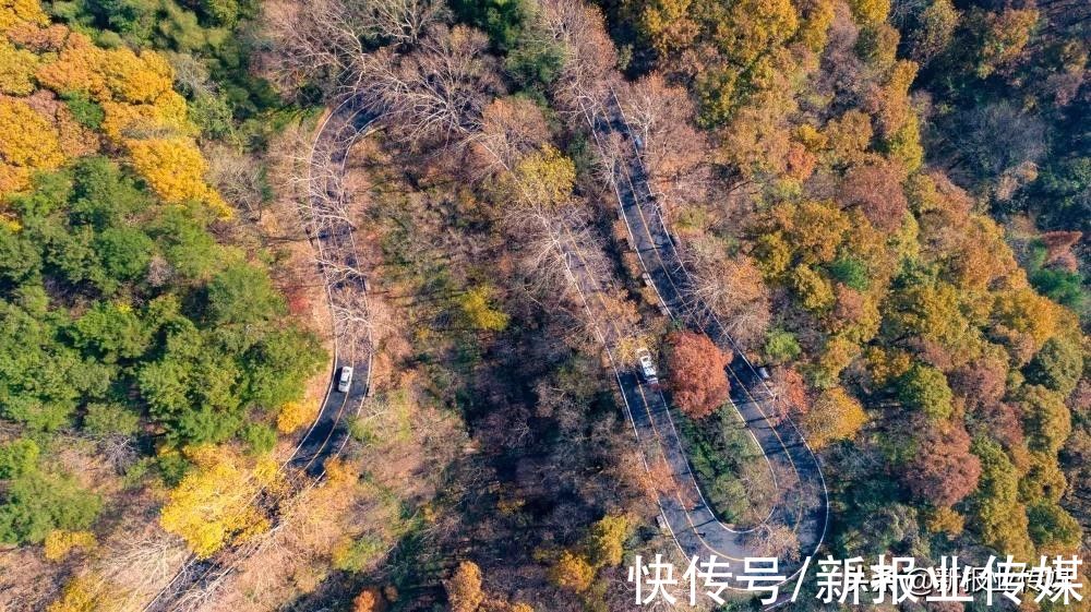 鸡公山景区免票活动，速来|最后两周！“豫见金秋·惠游河南”| 免票活动