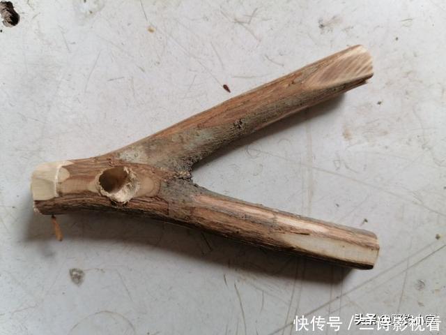 钓鱼支架还在掏钱买吗?为何不利用废鱼竿+树Y做一个,一样好用