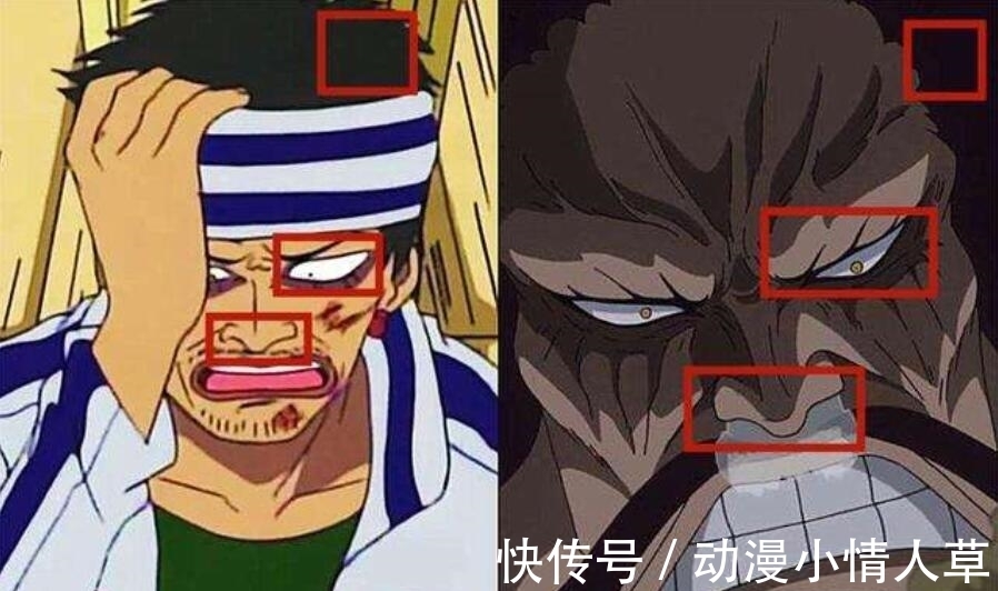 山治|海贼王:在海迷帮助下,这两人弄清了身份,也找到了爸妈