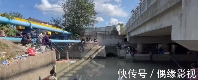 上海一河道鲫鱼大爆发，一天轻松钓上十几斤，有人拄着拐杖去钓鱼