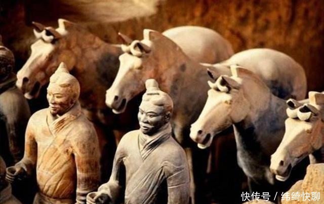 对人类贡献最大的一种动物,没有它,人类的发展不会如此迅速