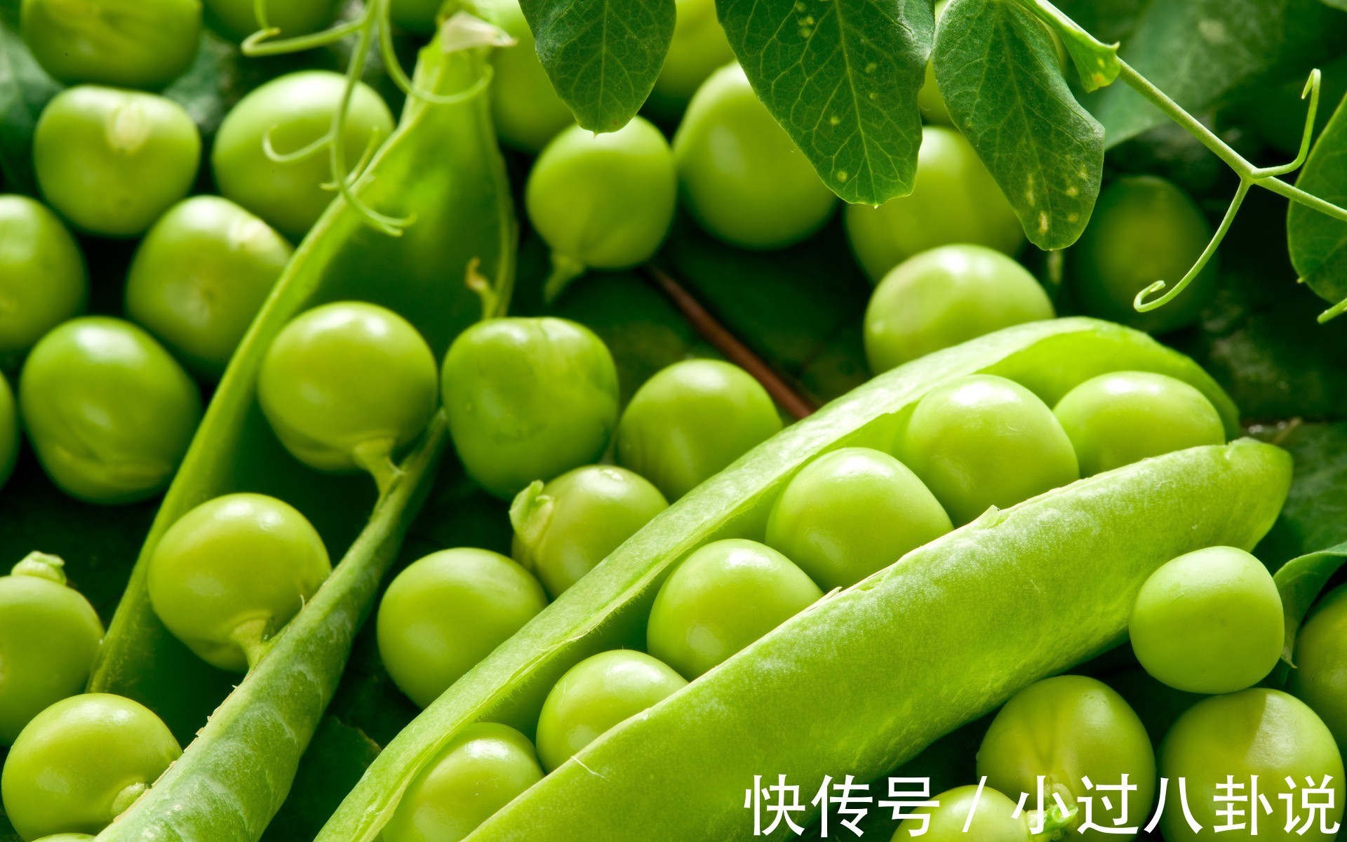 气色|中年人想气色好,可以吃好的食物,减皱祛斑,刮油清肠,身体好了