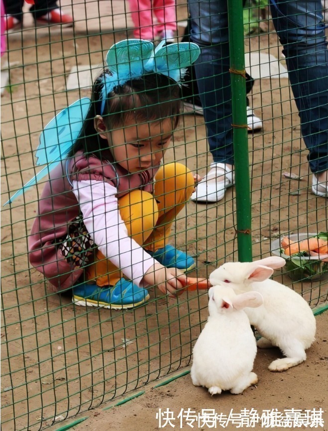 开阔|哈佛校长直言:父母多带孩子去这5个地方,对孩子的未来大有好处