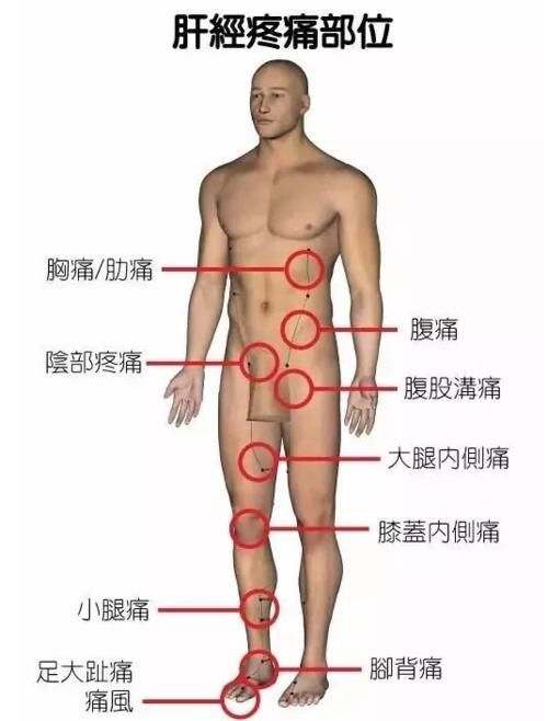 通畅|经络不通百病缠身,找准根源最重要,每天10分钟,疏通经络保健康