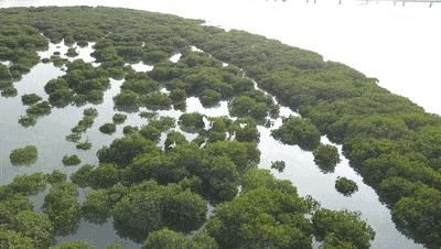 这场|“彩虹跑道”完工！海边美景赏心悦目，本周日这场赛事在此开跑……