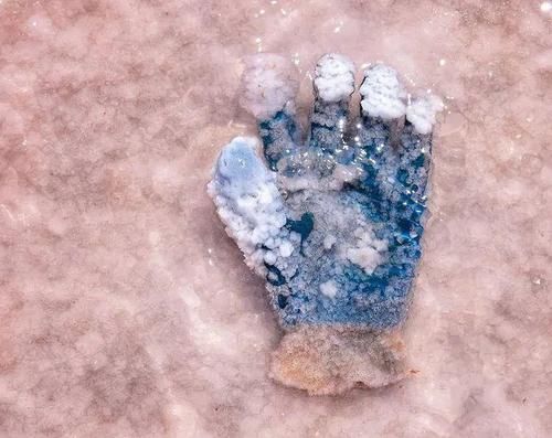 网友|火车驶入粉色盐湖，俄版《千与千寻》如此唯美