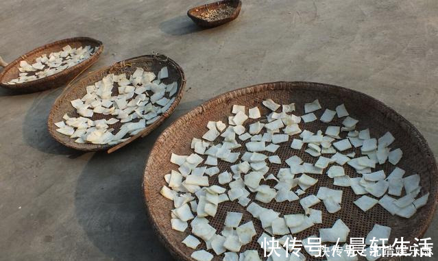 豆角|立秋后，这5种蔬菜，建议一次买20斤，能吃到冬季，炖菜炒肉香