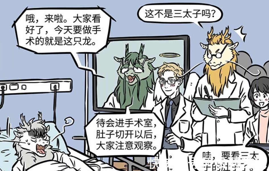 龙类|非人哉如果不出意外的话,烈烈会成为龙类中第一条小白鼠