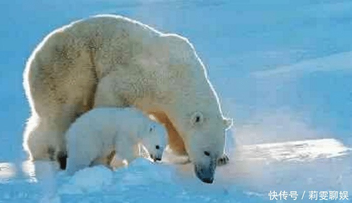 法国|一百年前,法国“强塞”给中国一块地,如今法国肠子都悔青了