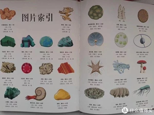 墙裂推荐（我的心爱之物）我的心爱之物作文200字 第18张