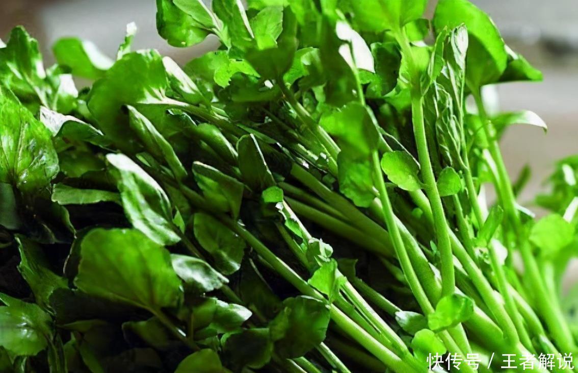 牛大肠|会吃的人最健康，多吃3种食物，降压减脂，增强体质，不容错过