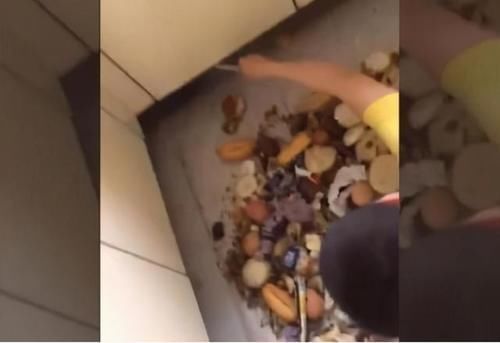 父母|弟弟玩具被抢,向妈妈举报哥哥秘密基地,爸爸:请给孩子完整童年