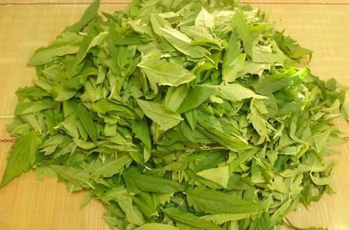 中薪|种子一斤几万颗,10元一斤,叶子可是稀罕野菜,煮面条杠杠的