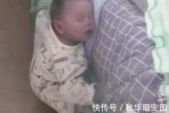 孩子|妈妈半夜醒来,找不到8个月儿子,原来在学“小龙女”睡绳子练功
