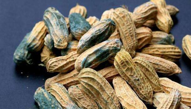 致癌|黄曲霉素可直接致癌?想要远离癌症,4种食物能离多远离多远