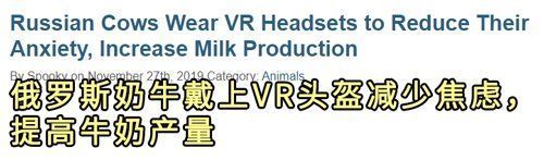 养牛|牛比你先玩上元宇宙了，为了产更多的奶它们被戴上了VR眼镜