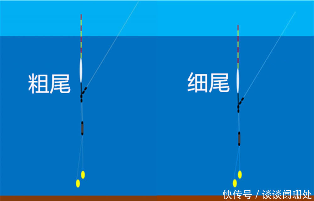 漂尾后两目加粗的浮漂，调漂要用这种方法，可以保持灵敏度！